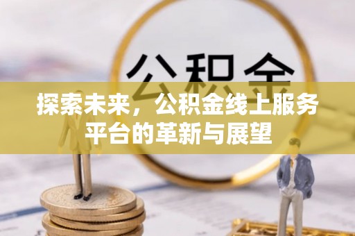 泽州探索未来，公积金线上服务平台的革新与展望