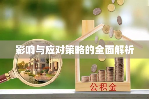 泽州影响与应对策略的全面解析