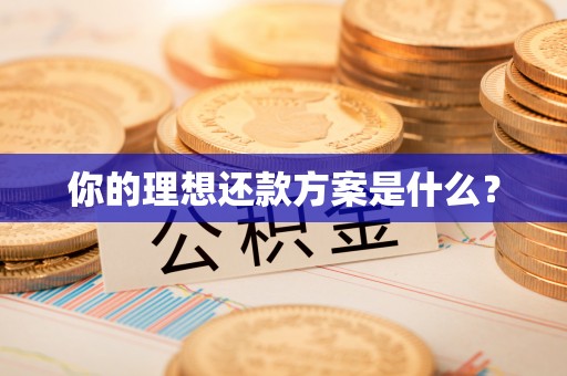 泽州你的理想还款方案是什么？
