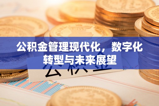 泽州公积金管理现代化，数字化转型与未来展望