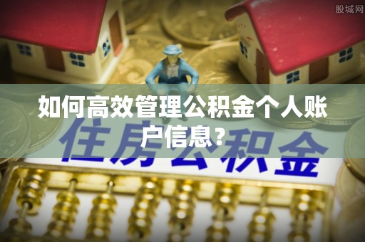 泽州如何高效管理公积金个人账户信息？