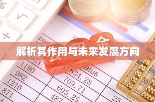 泽州解析其作用与未来发展方向
