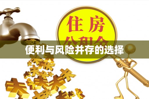 泽州便利与风险并存的选择