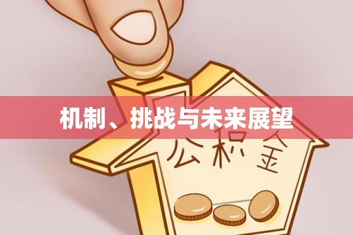 泽州机制、挑战与未来展望