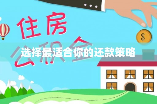 泽州选择最适合你的还款策略
