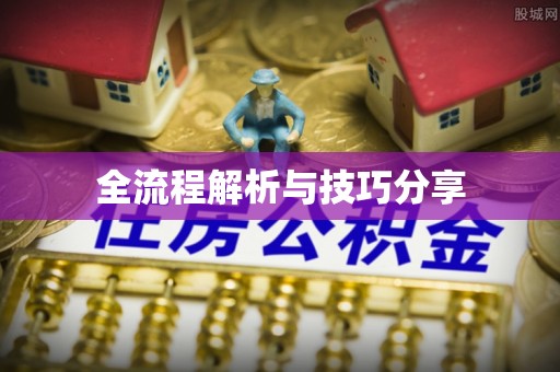 泽州全流程解析与技巧分享