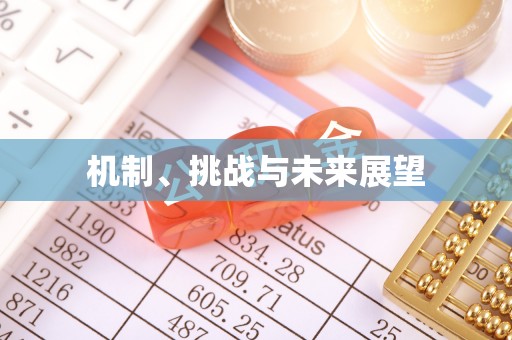 泽州机制、挑战与未来展望