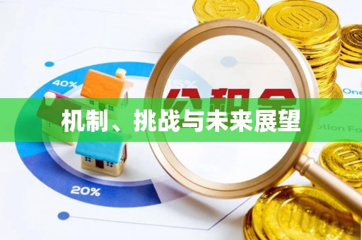 泽州机制、挑战与未来展望